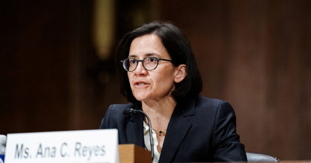 ana reyes misconduct complaint dismissal